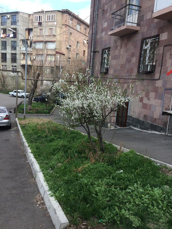 Apartment In The Center Of Jereván Kültér fotó
